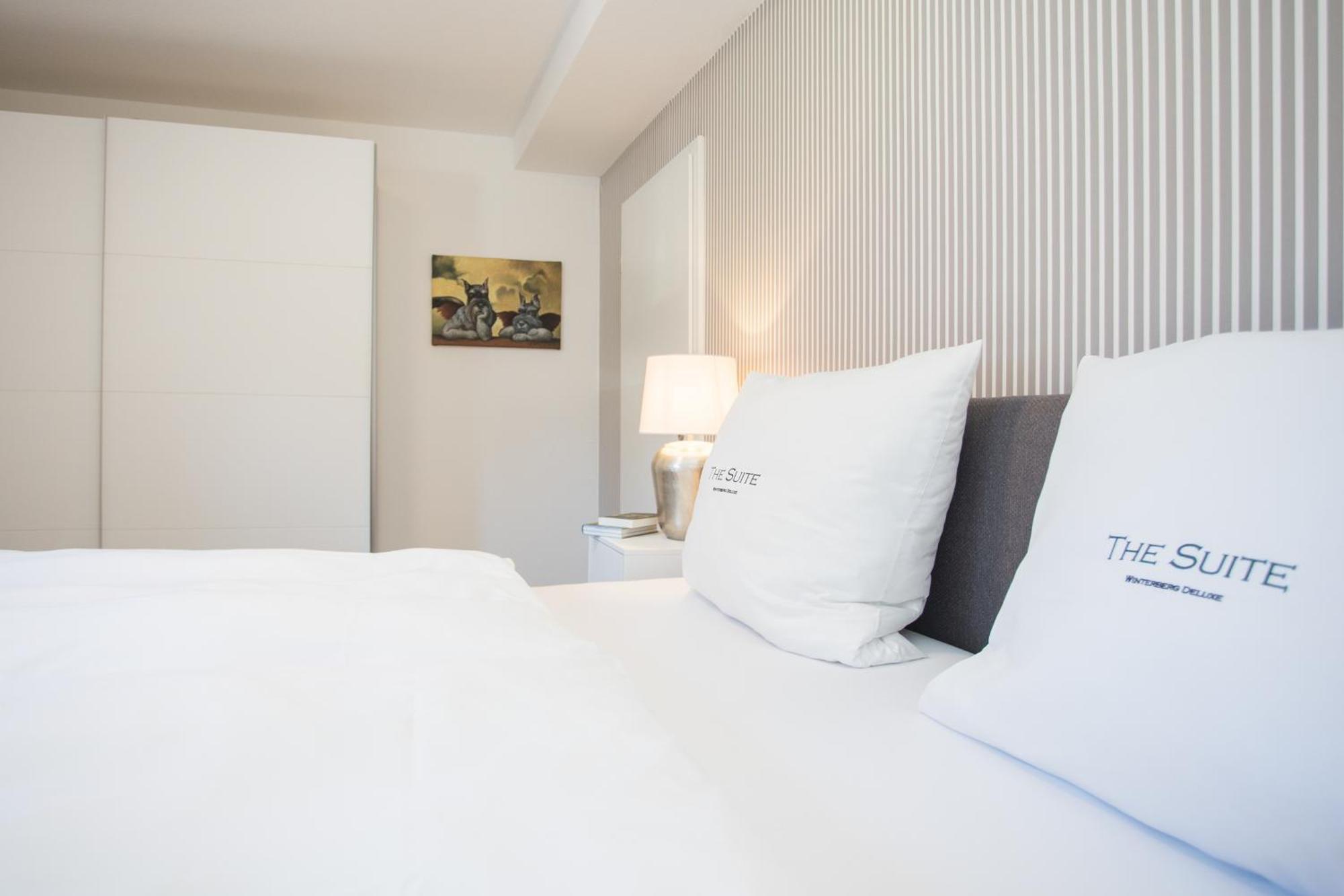 The Suite Winterberg Deluxe: Ski-to-Market Luxury with Garden Exterior photo